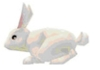 Image:Pet Rabbit.PNG