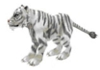 Image:Pet Tiger.PNG